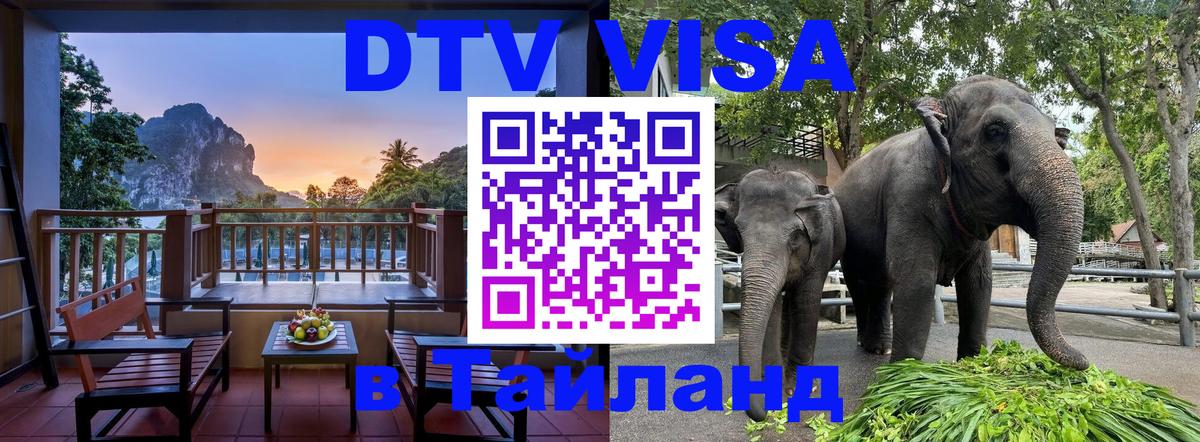 DTV виза Тайланд Новокузнецк 